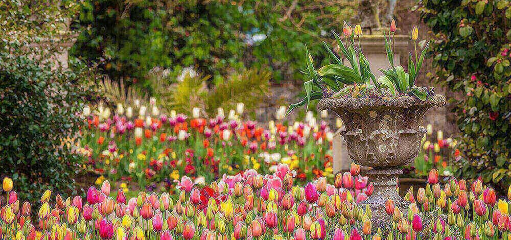 car driving on the road with sun