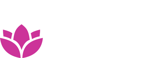 car driving on the road with sun