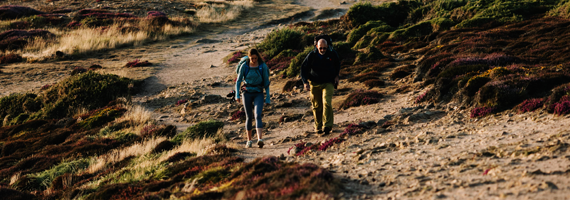 car driving on the road with sun