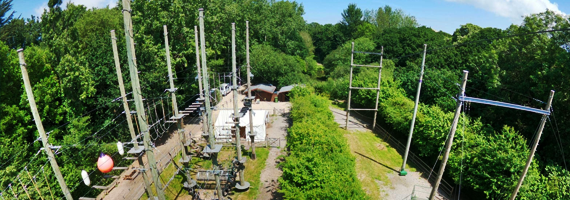 car driving on the road with sun